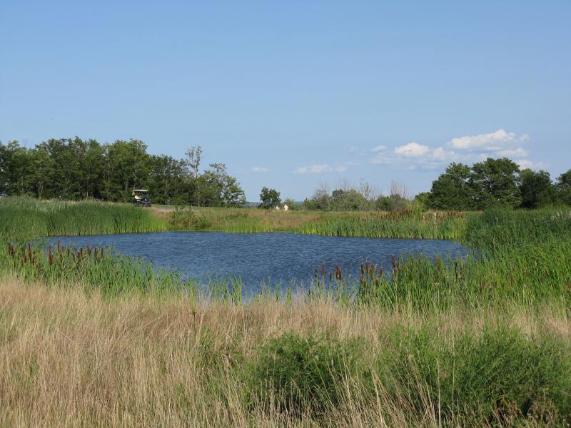 A Stormwater Management Facility Designed For Mill Creek Golf Club
